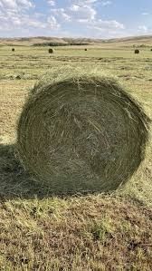 Сено с поля    .