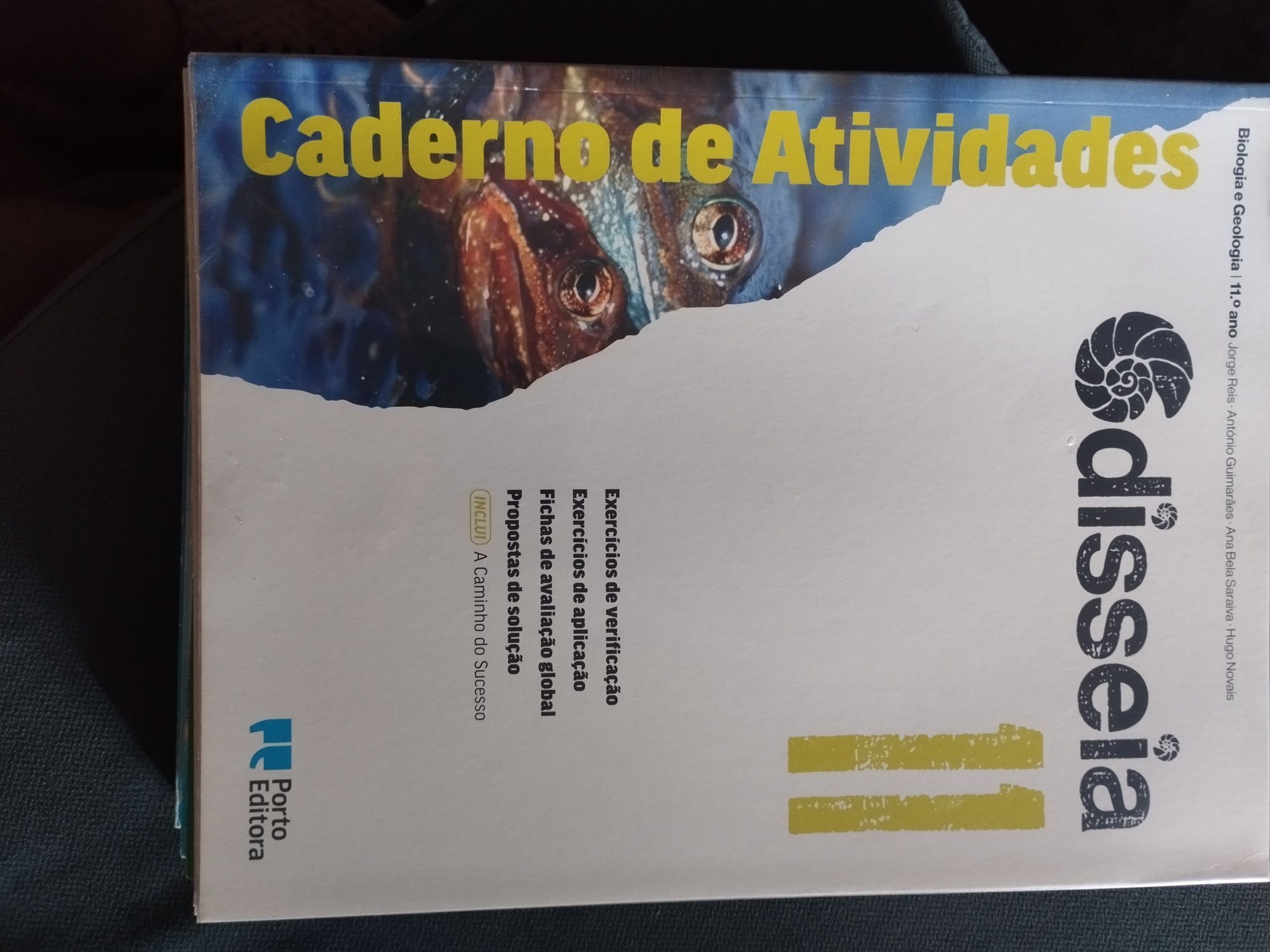 Cadernos de atividades