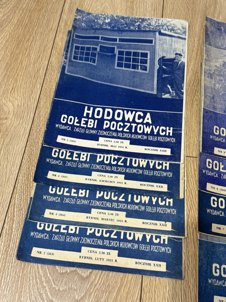 Gołąb Hodowca gołębi pocztowych stara gazeta miesięcznik 1955r.
