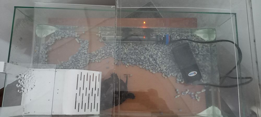 Aquario grande para tartaruga