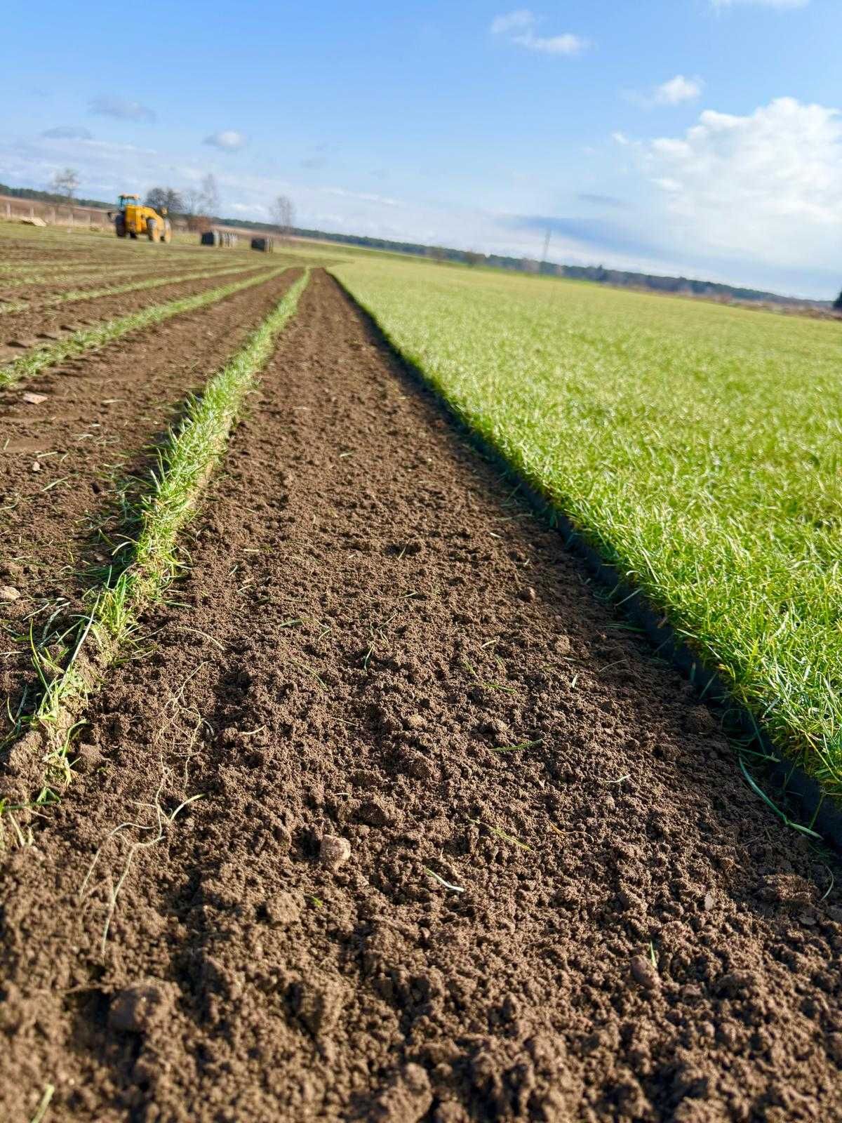 Trawa Z Rolki / PRODUCENT / Transport