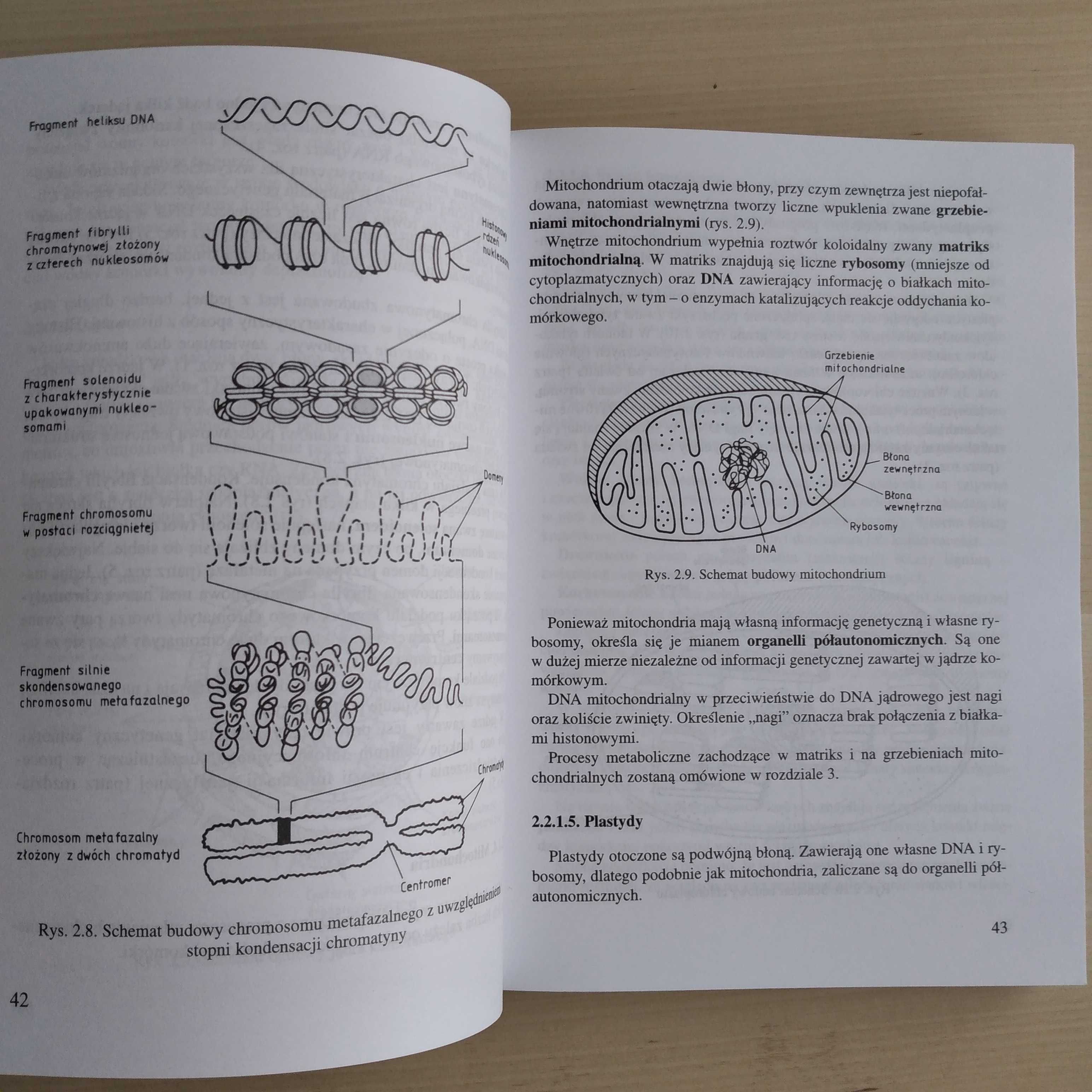 Biologia Od A do Z Repetytorium Matura Egzaminy na uczelnie Golinowski