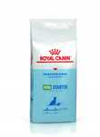 SUCHA KARMA ROYAL CANIN Mini Starter 20 kg Mother & Babydog