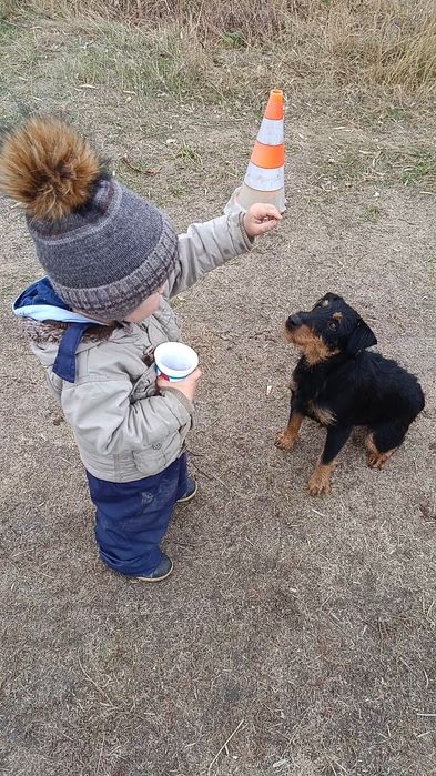 Кінолог, інструктор-кінолог