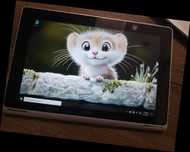 Tablet laptop. Super stan!