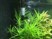 104. Bimbrownia, zestaw do dystrybucji CO2