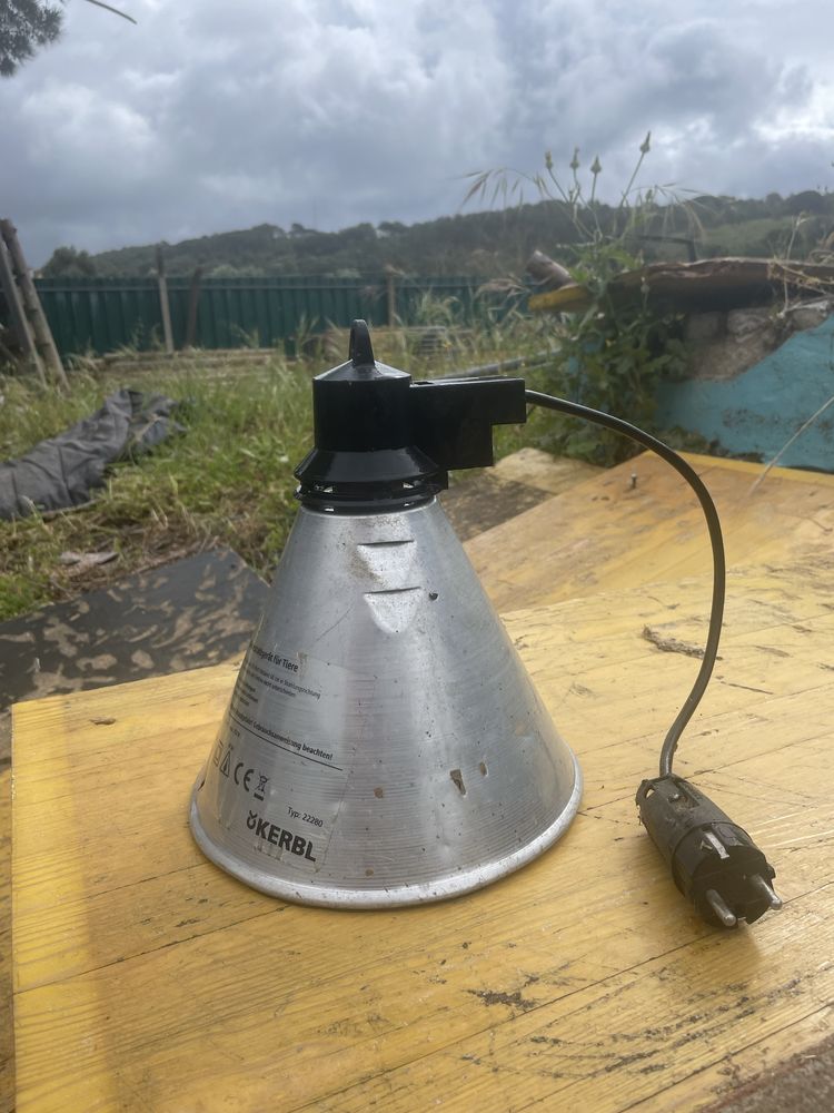 Campanula para lampada de aquecimento de pintos