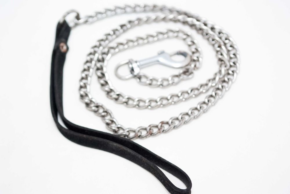 ошейник и поводки