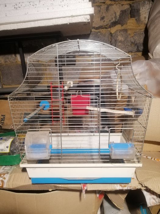 Клітка для папуги