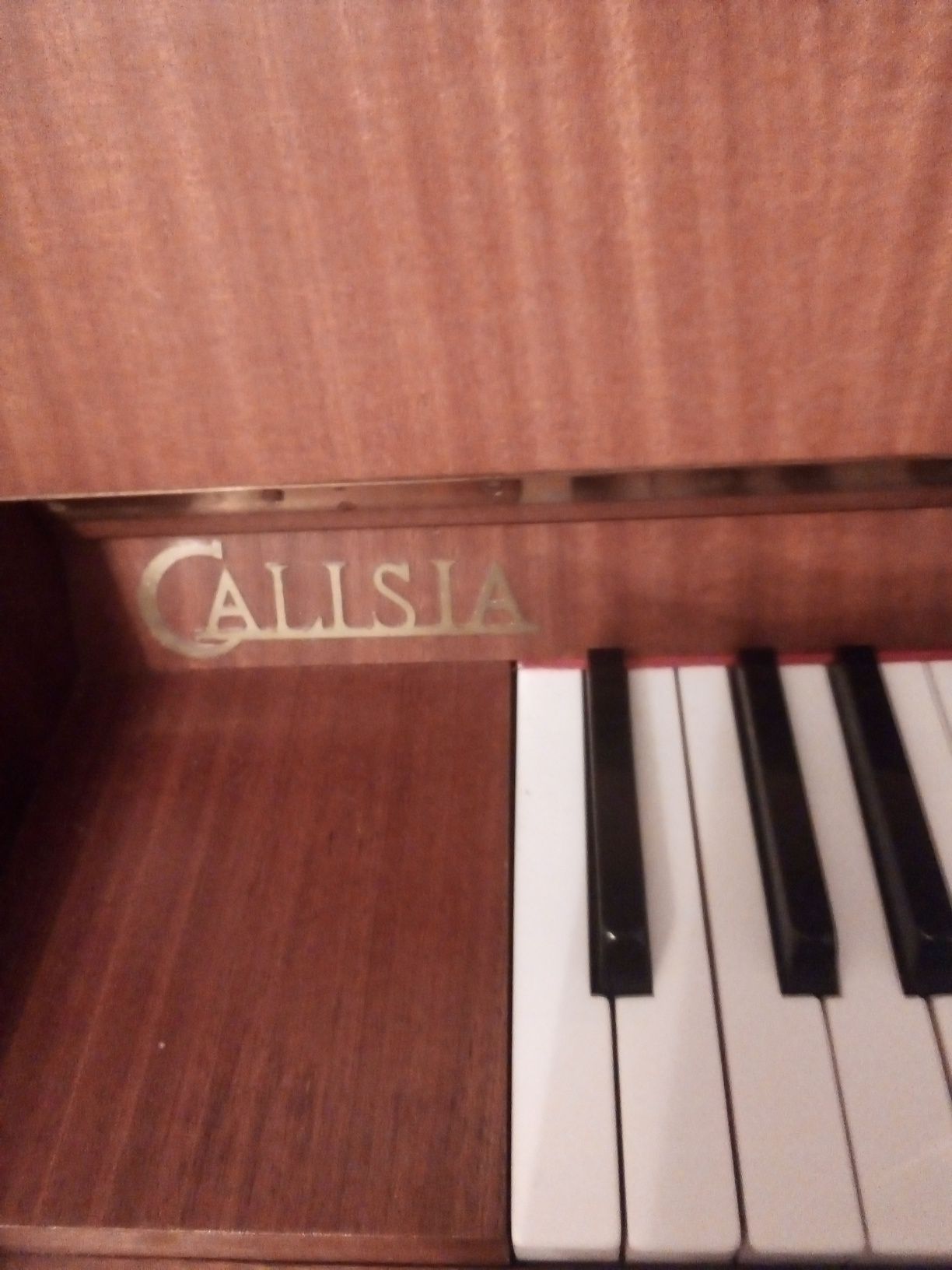 Pianino marki Calisia
