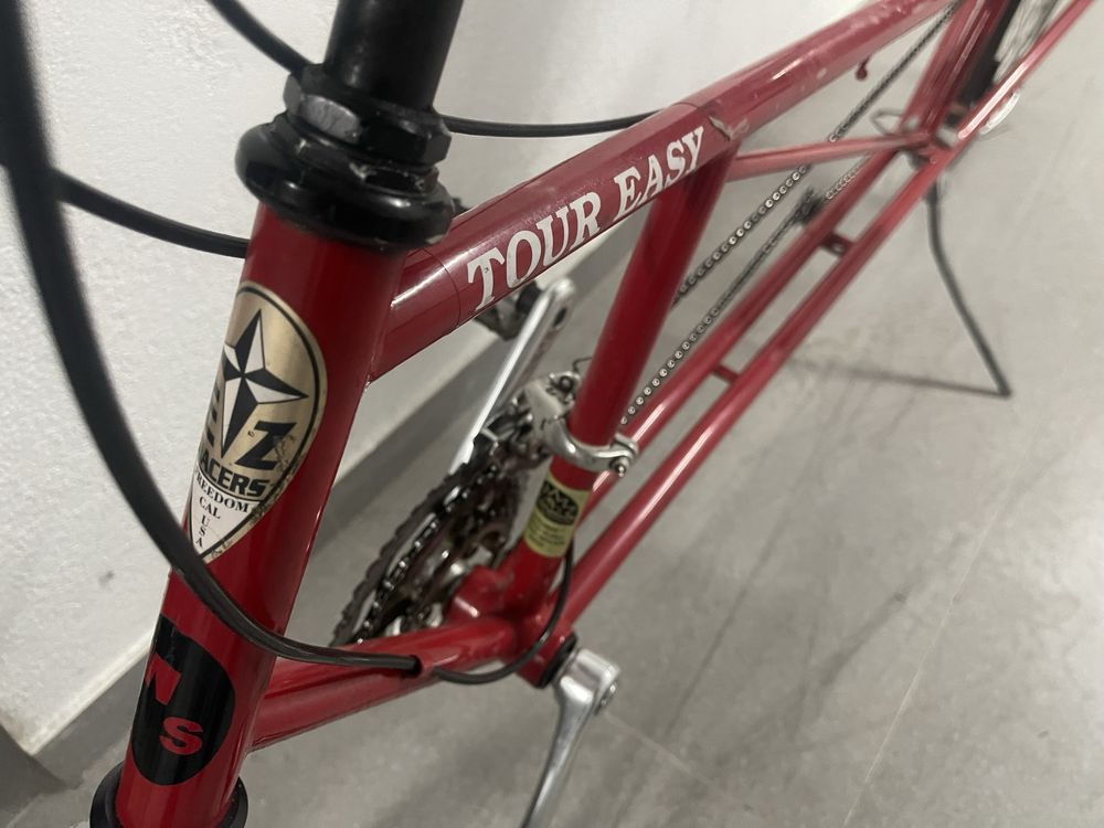 Bicicleta reclinada Easy Racer Tour easy