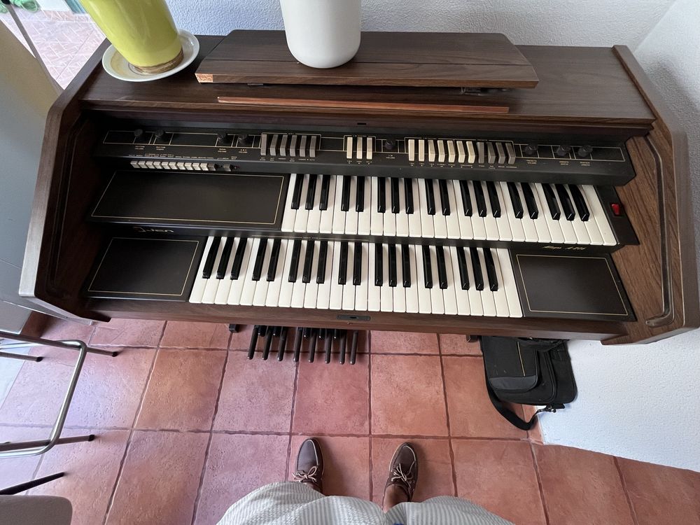 Vendo Órgão electronico Jen