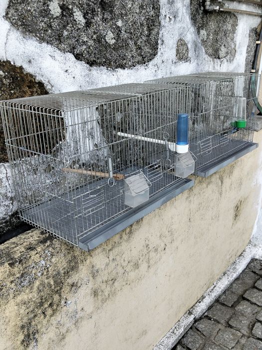 Gaiolas para pássaros