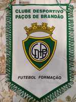 Galhardete de honra Paços de Brandão