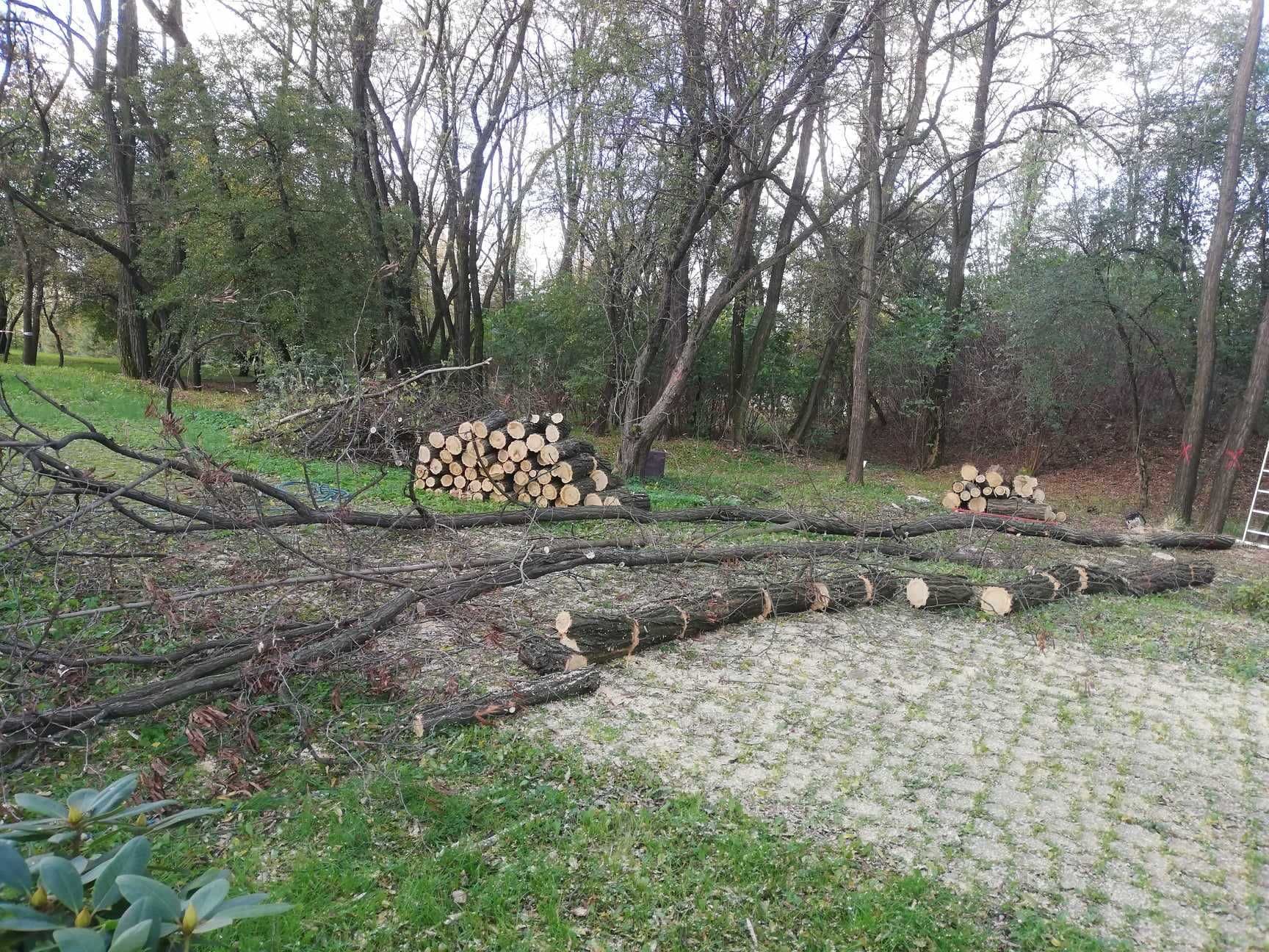 Wycinka Pielęgnacja Zrąbkowanie Koszenie Odśnieżanie Wywóz Rozbiórki