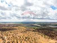 Herdade T2 para venda