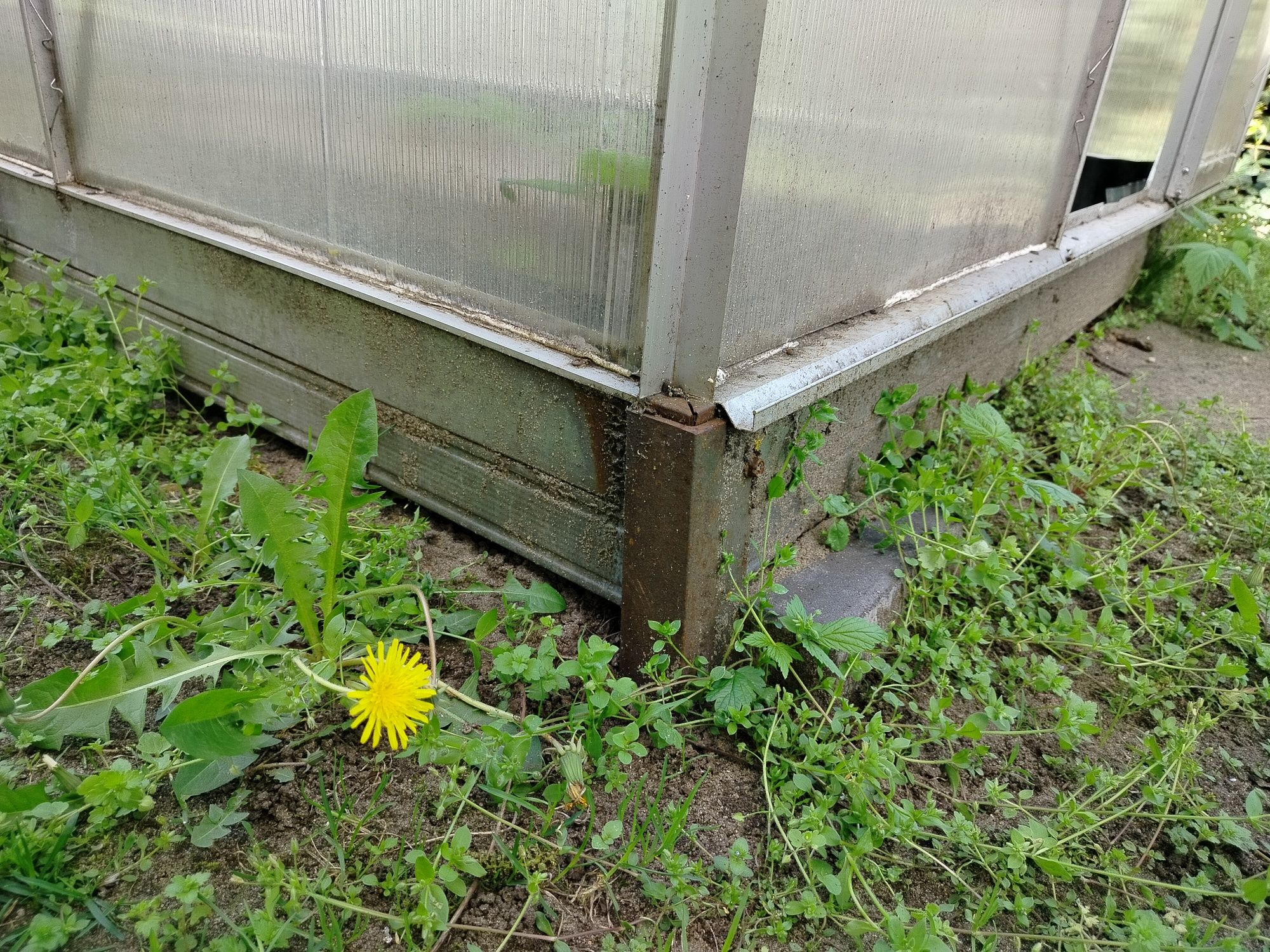 Szklarnia 190x310