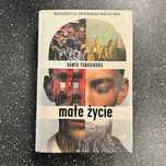 Małe życie, Hanya Yanagihara, twarda okładka