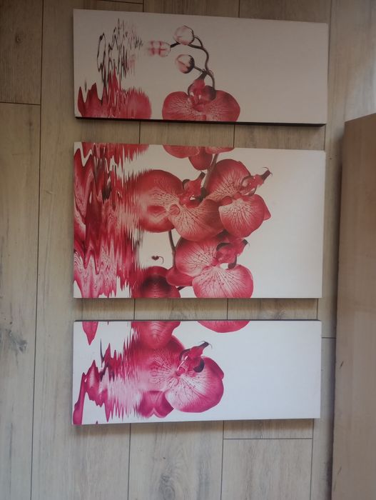 Obraz tryptyk 71 cm x 51 cm