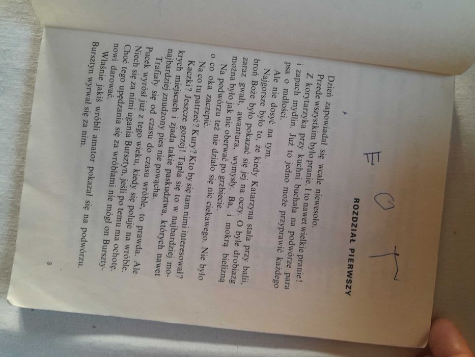 "Puc, Bursztyn i Goście" J. Grabowski