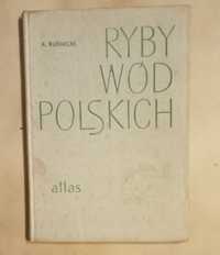 Atlas-Ryby wód polskich A.Rudnicki