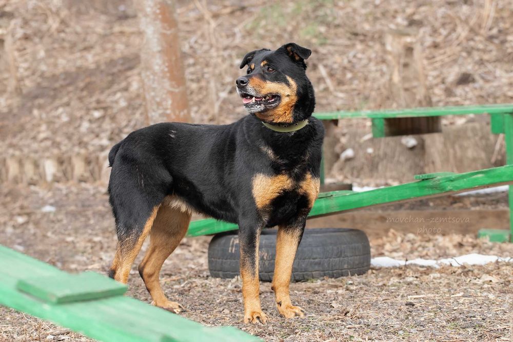 Шикарна Джес шукає родину