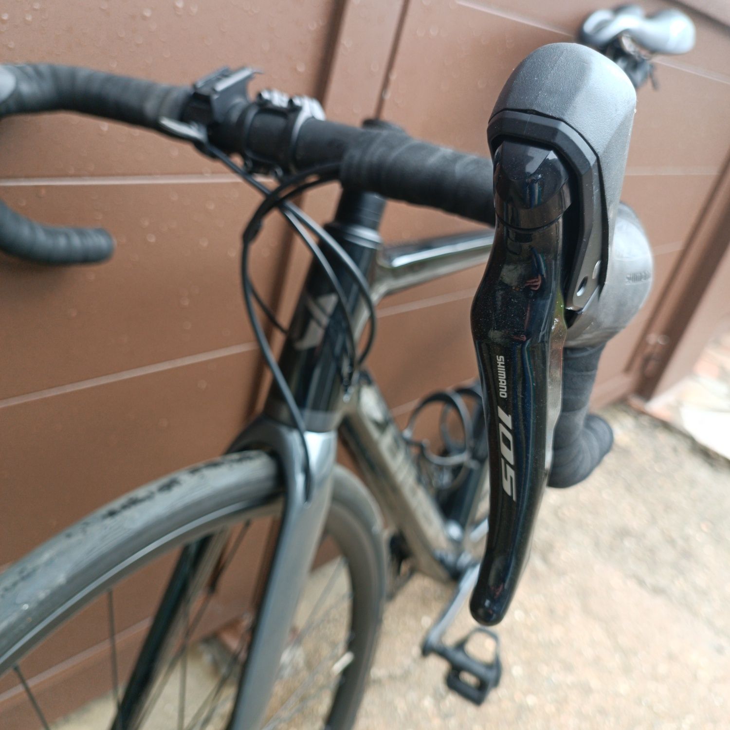 Coluer invicta disc