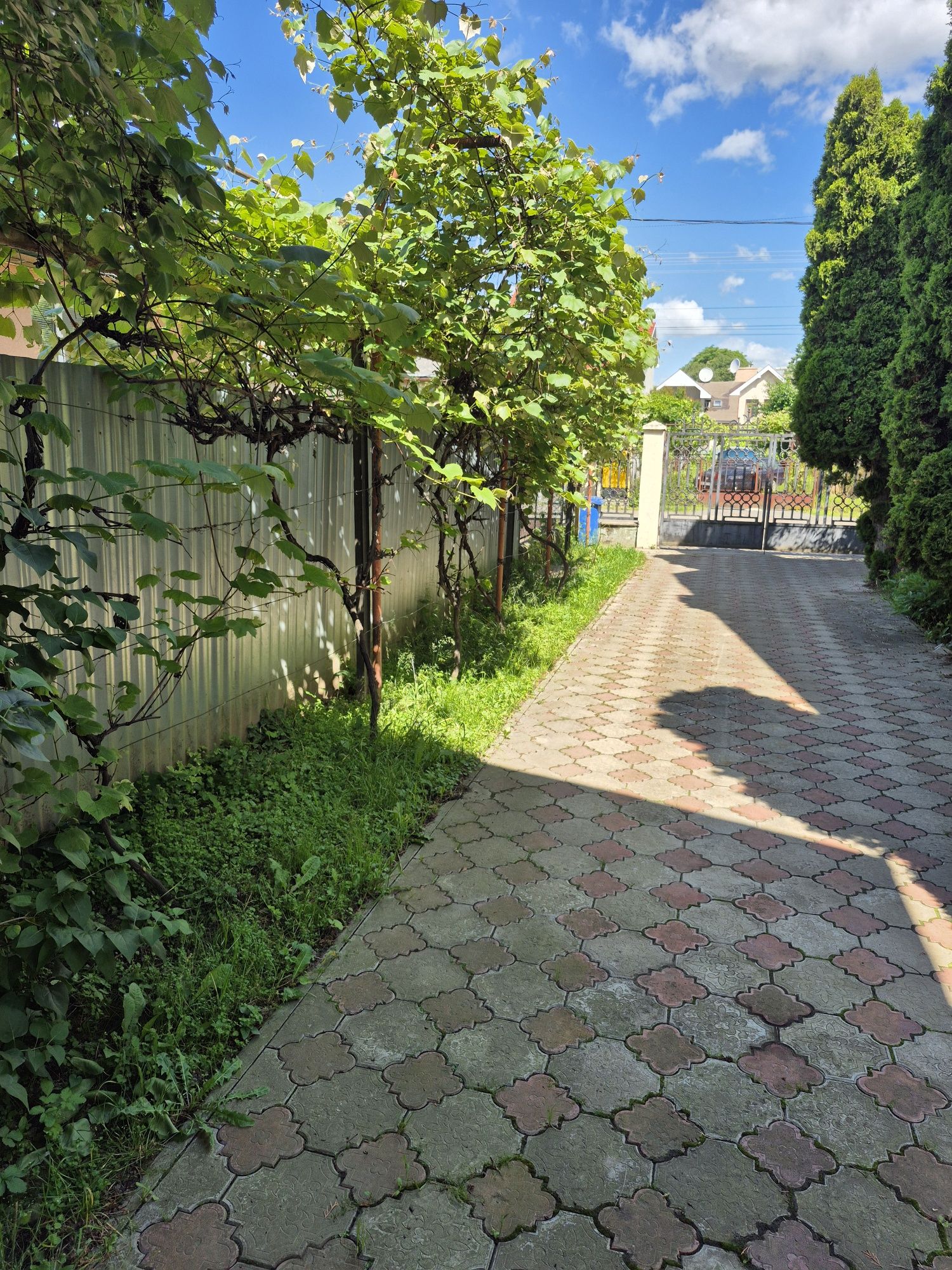 Продаж 2.х поверхового будинку в центральній частині міста (рн.Билочка