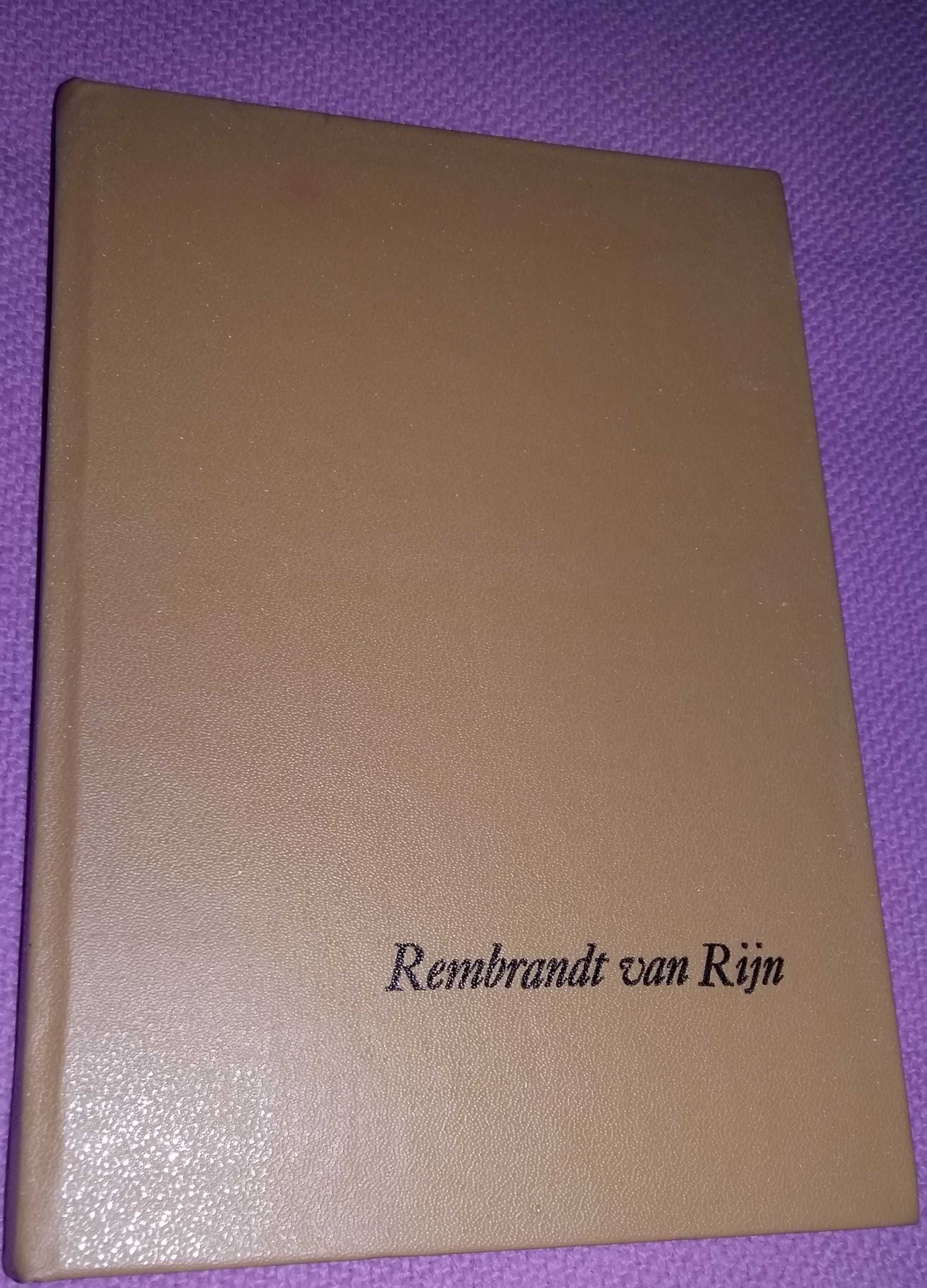 Samotny o zmierzchu (Rembrandt van Rijn) - Jerzy Cepik