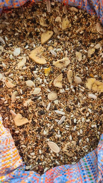 Mieszanka dla papug dużych (bez pszenicy, sorga)