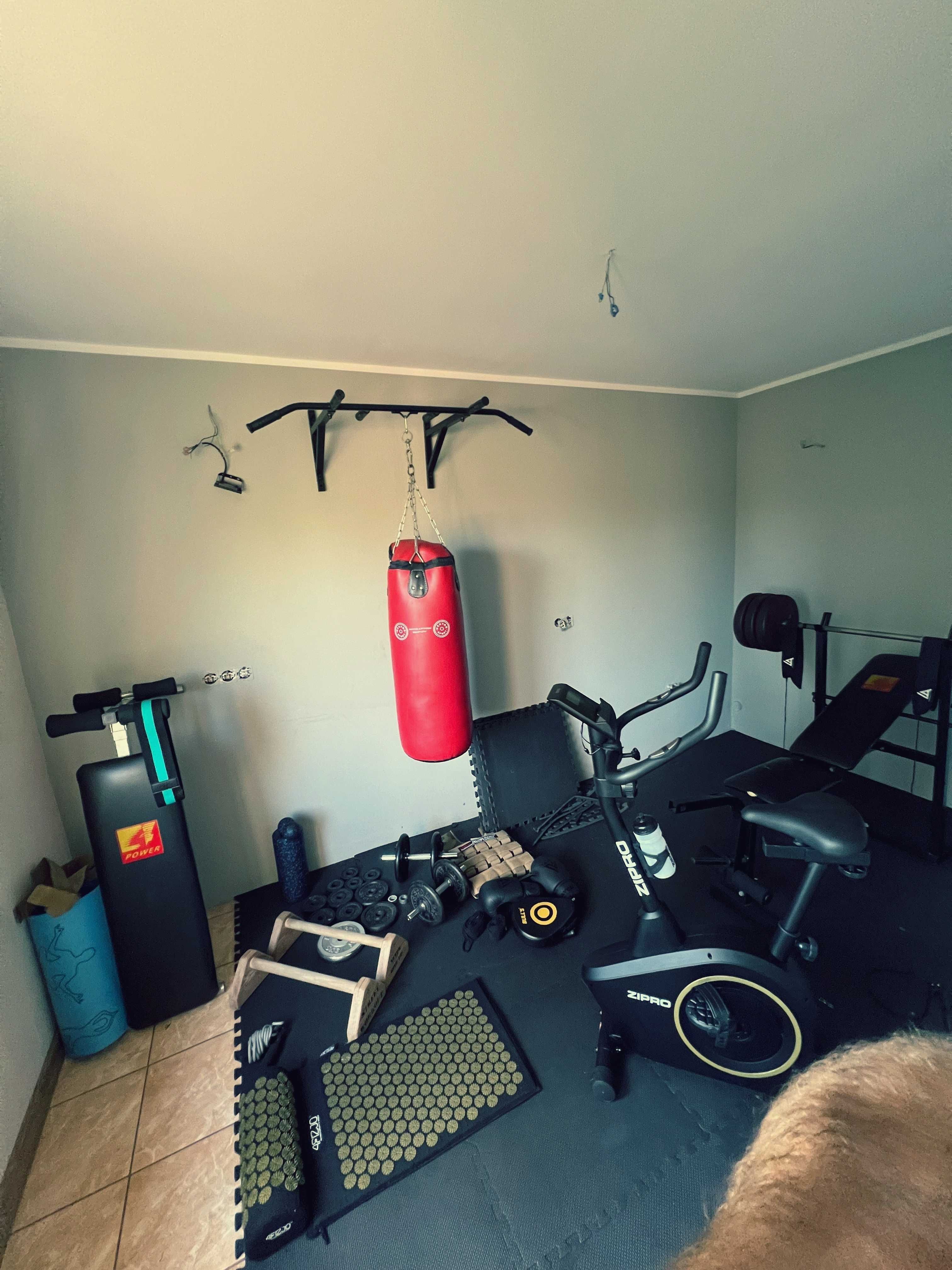 Sprzedam domową siłownię – pełny zestaw! (ok 100kg samego obciążenia)