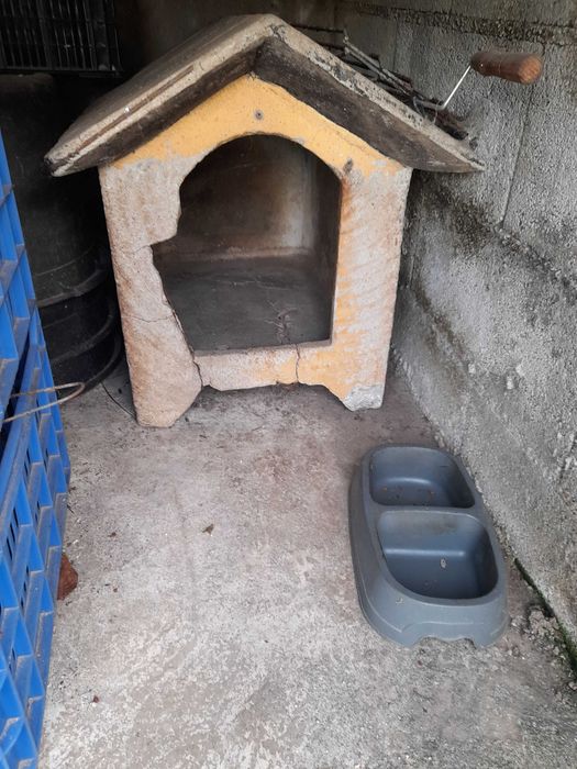 Dou casota cão para desocopar e de cimento