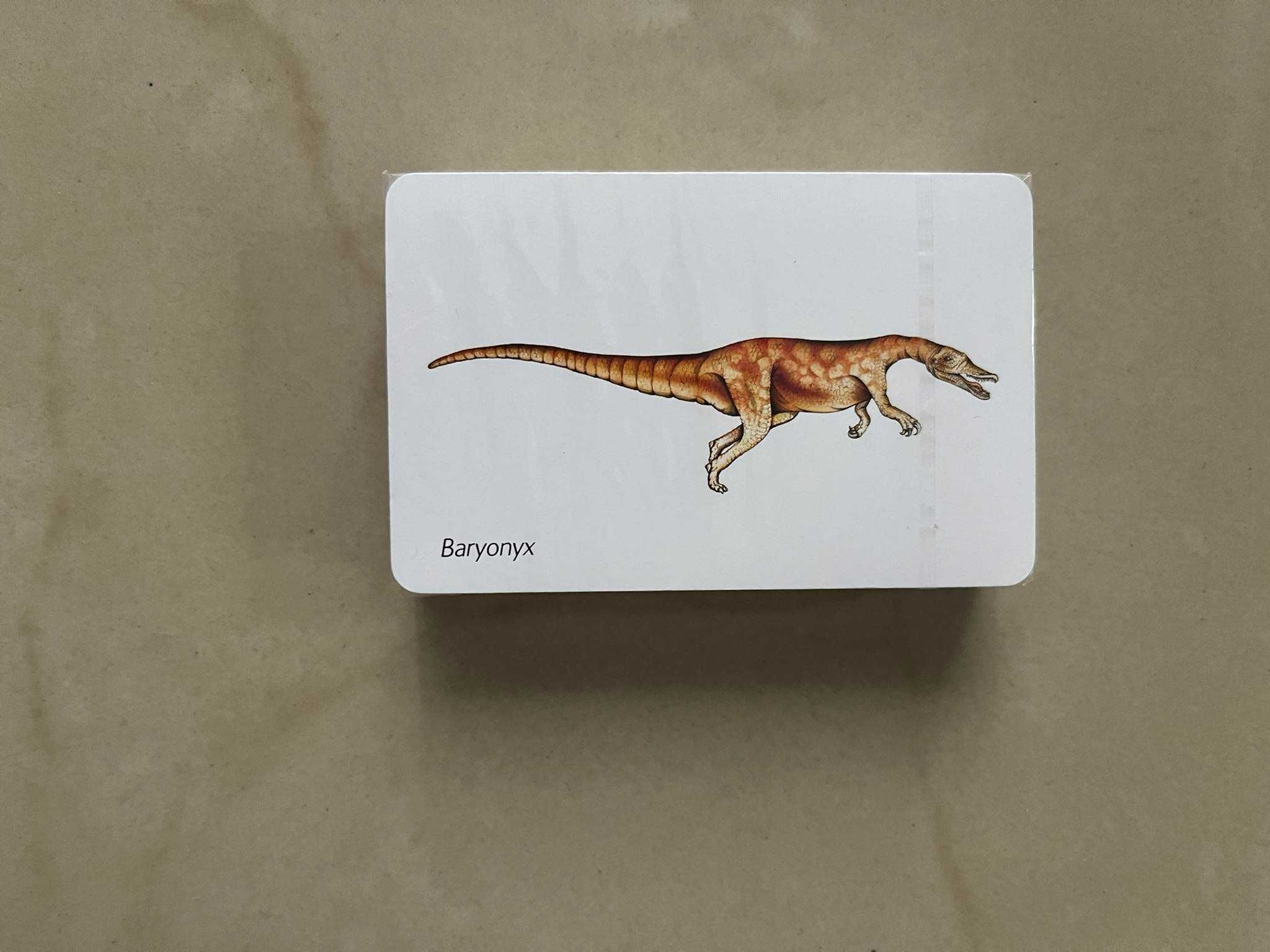Gra karciana quiz dla dzieci Dinozaury My First Dinosaur Snap