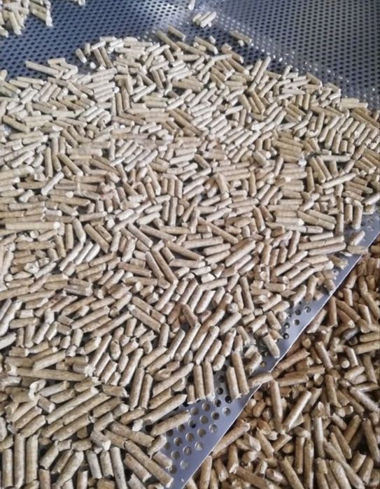Pellet od producenta PROMOCJA