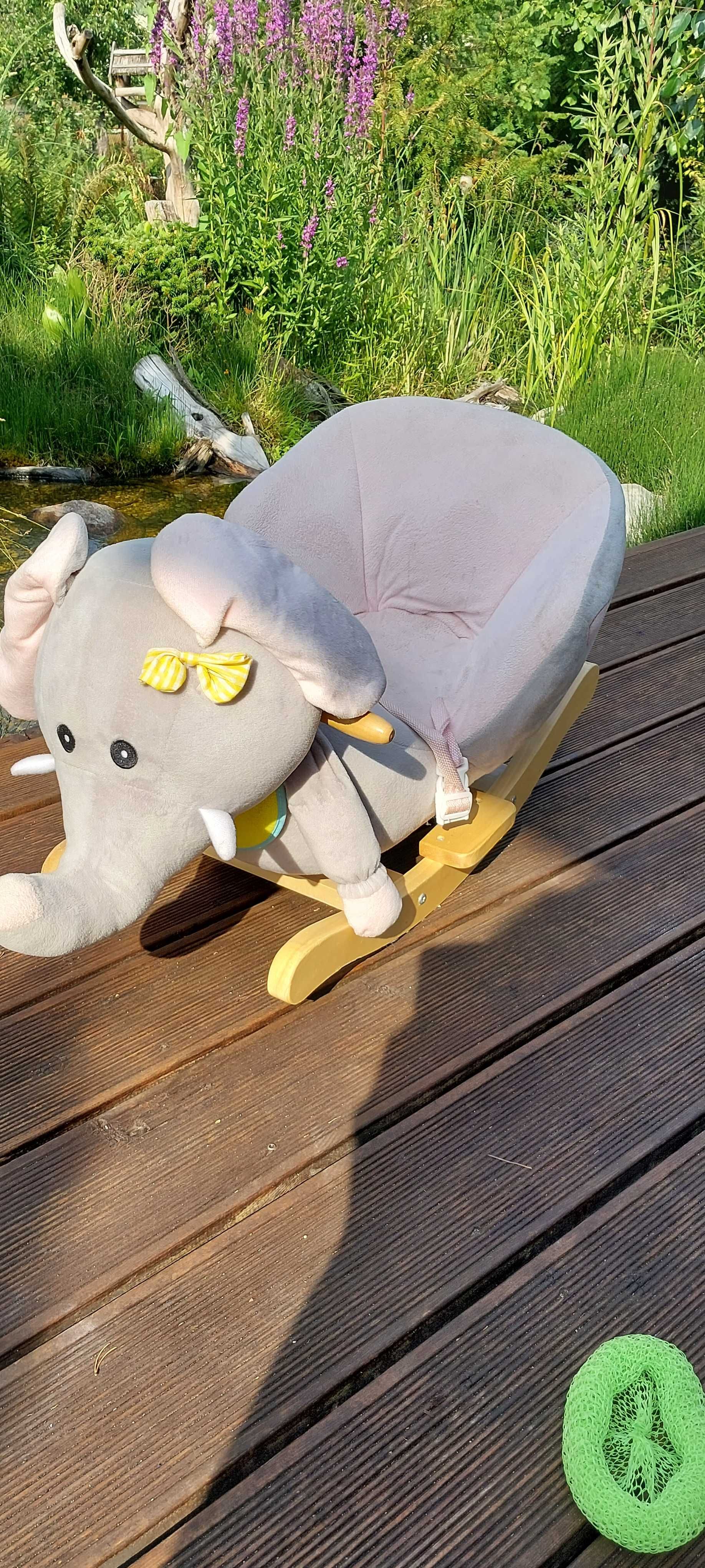 Bujak słoń dla dzieci