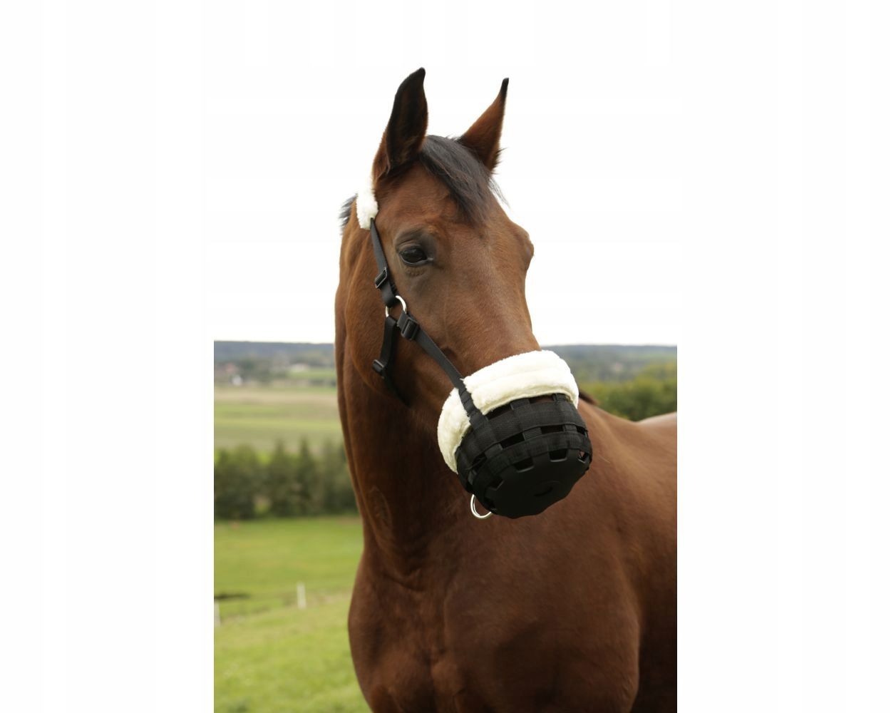 kaganiec dla konia teddy fleece covalliero cob łatwa instalacja size c