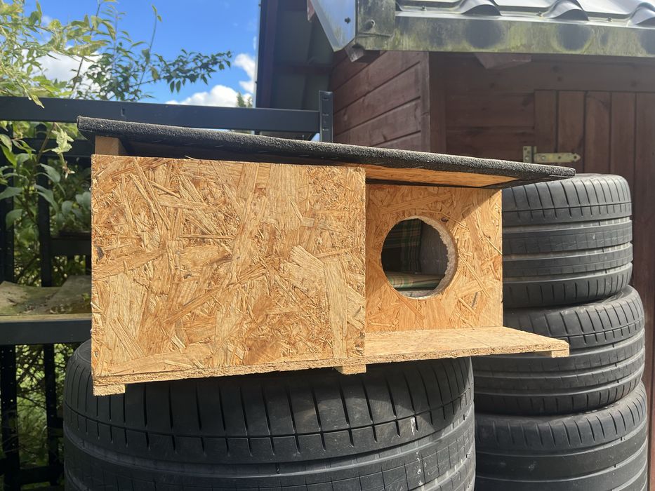 Kocia budka - zimowanie