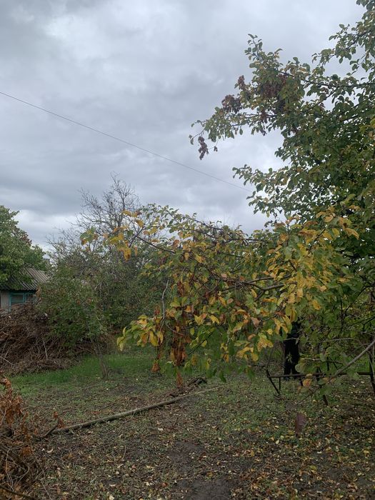 Продам дачу/ участок в Ермолаевке, Подгородное