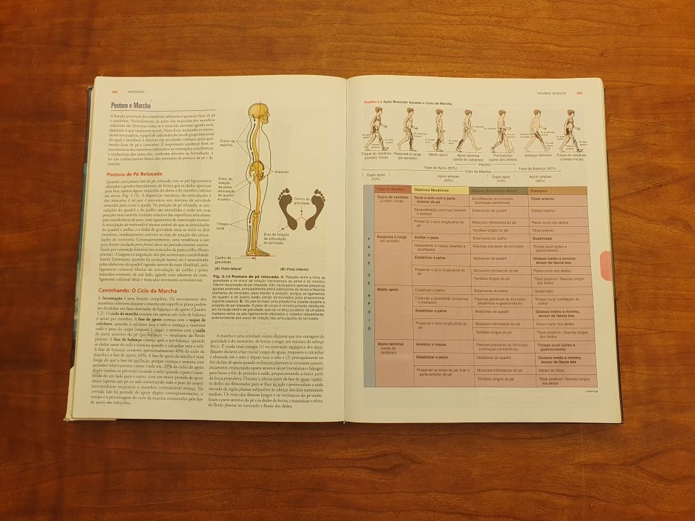 Anatomia Orientada para Clinica - 5 edição