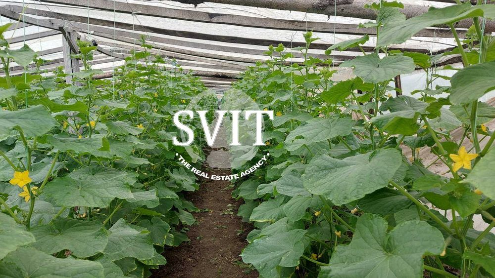 Продам заміський будинок з великим фермерським господарством