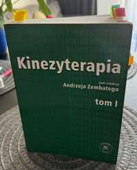 Kinezyterapia A.Zembatego