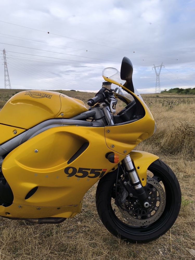 Triumph daytona 955i