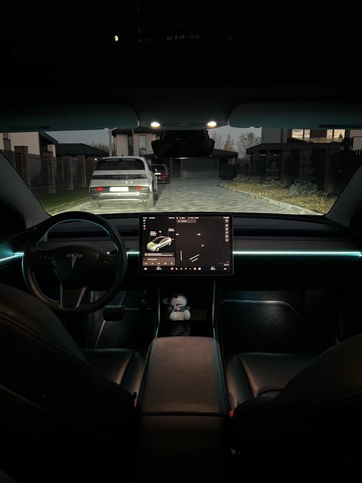 Tesla model 3 2020 Dual motor