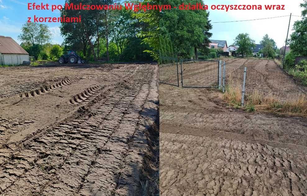 Karczowanie Terenu Mulczowanie Mulczer Leśny Wycinka Drzew Zrębkowanie