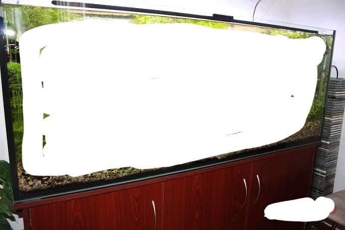 Akwarium 450l z szafką