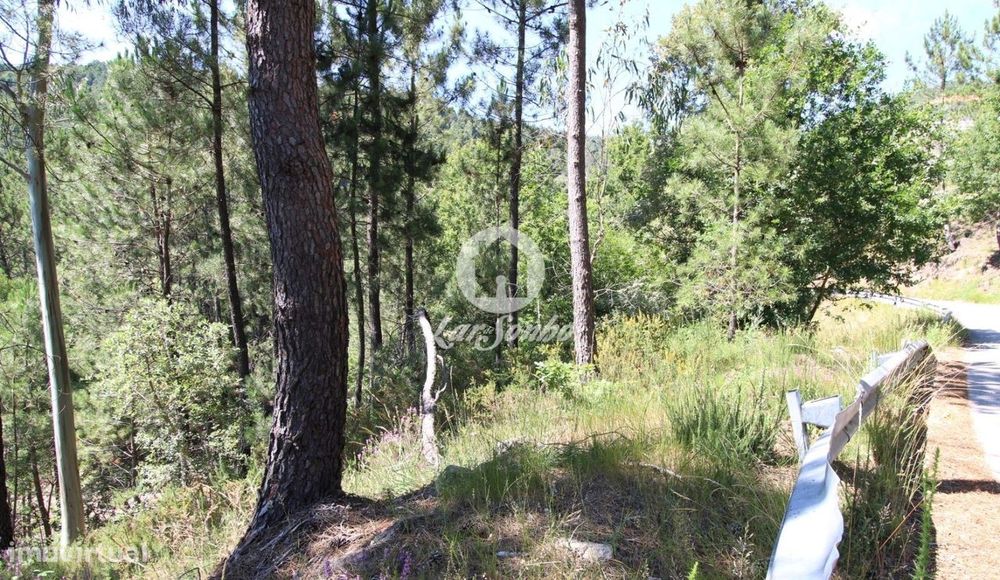 Terreno rustico com 1.200m2 em Terras do Bouro