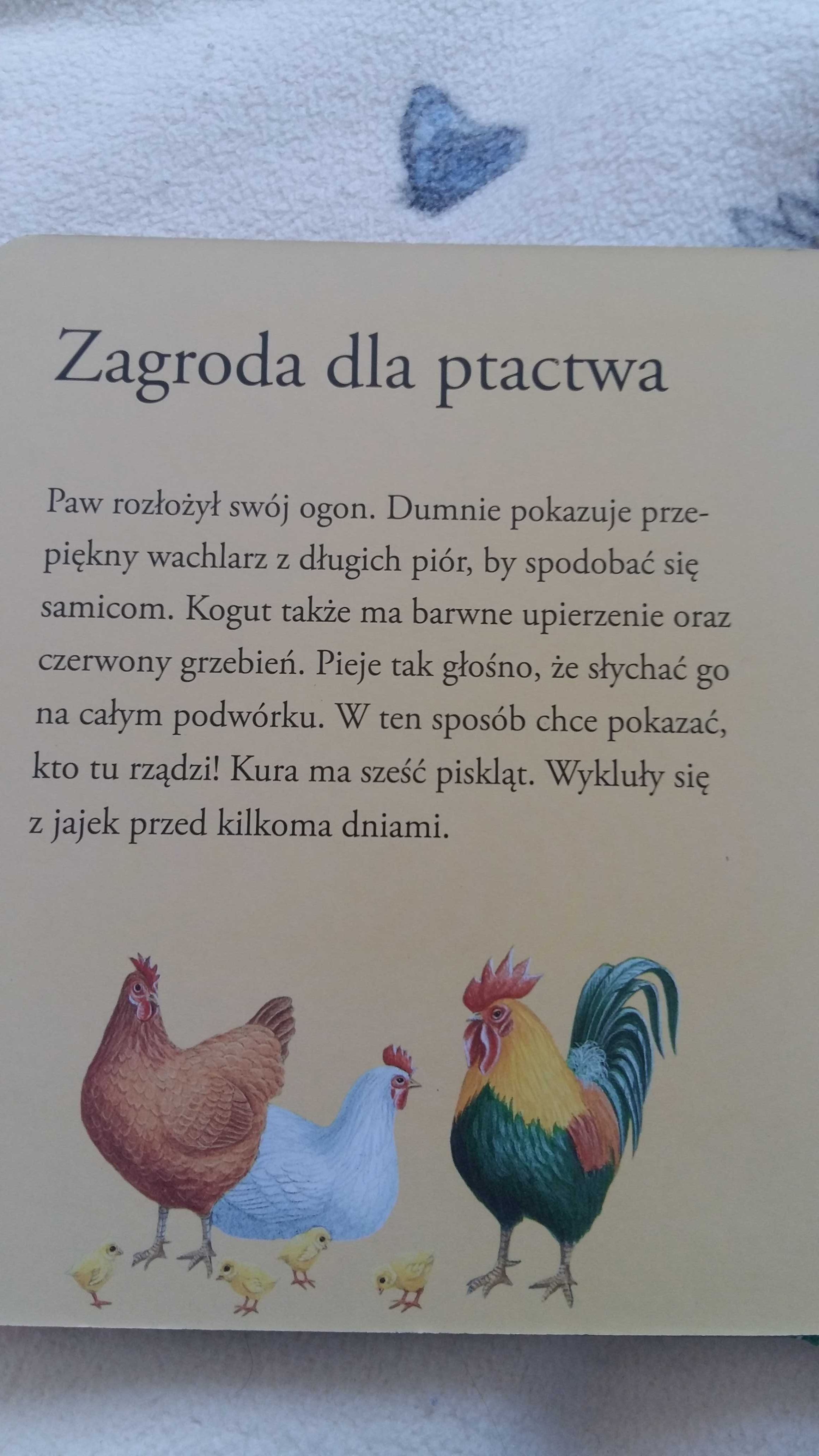 Ksiąźeczka z puzzlami "W zagrodzie"