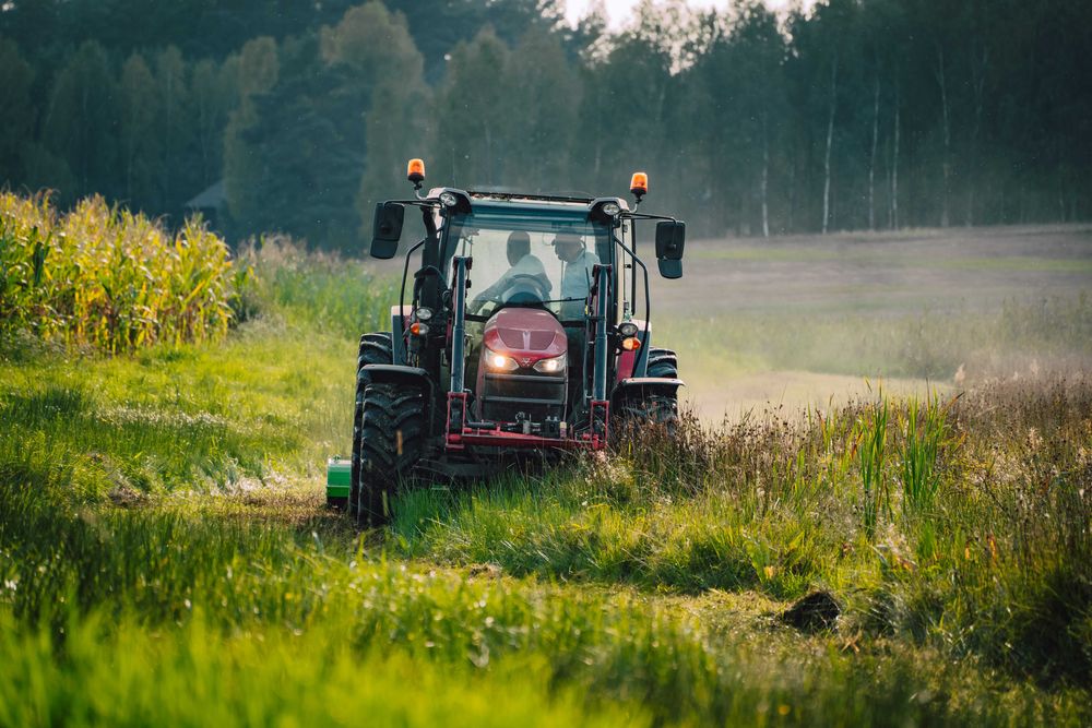 Wynajem mulczera Usługa mulczowania kosiarka bijakowa TALEX 2,8 m