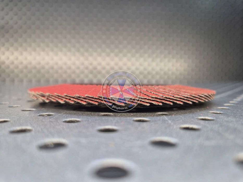 10 x gr120 Tarcza Listkowa ceramiczna 125mm lamelka ceramiczna 120