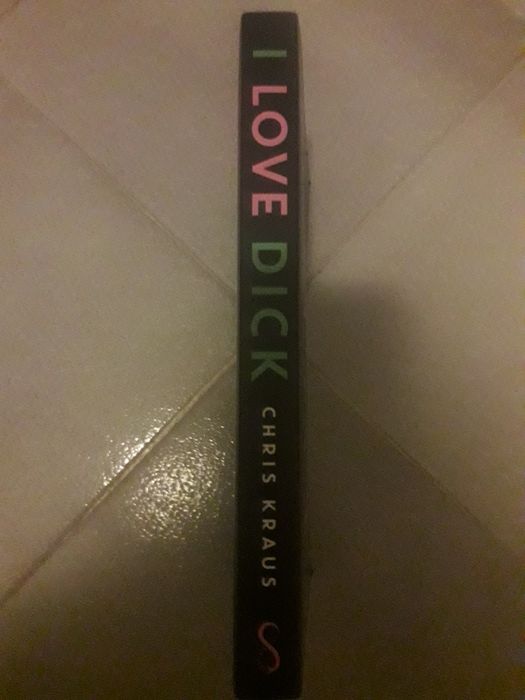 Livro em Inglês  "I love Dick "
